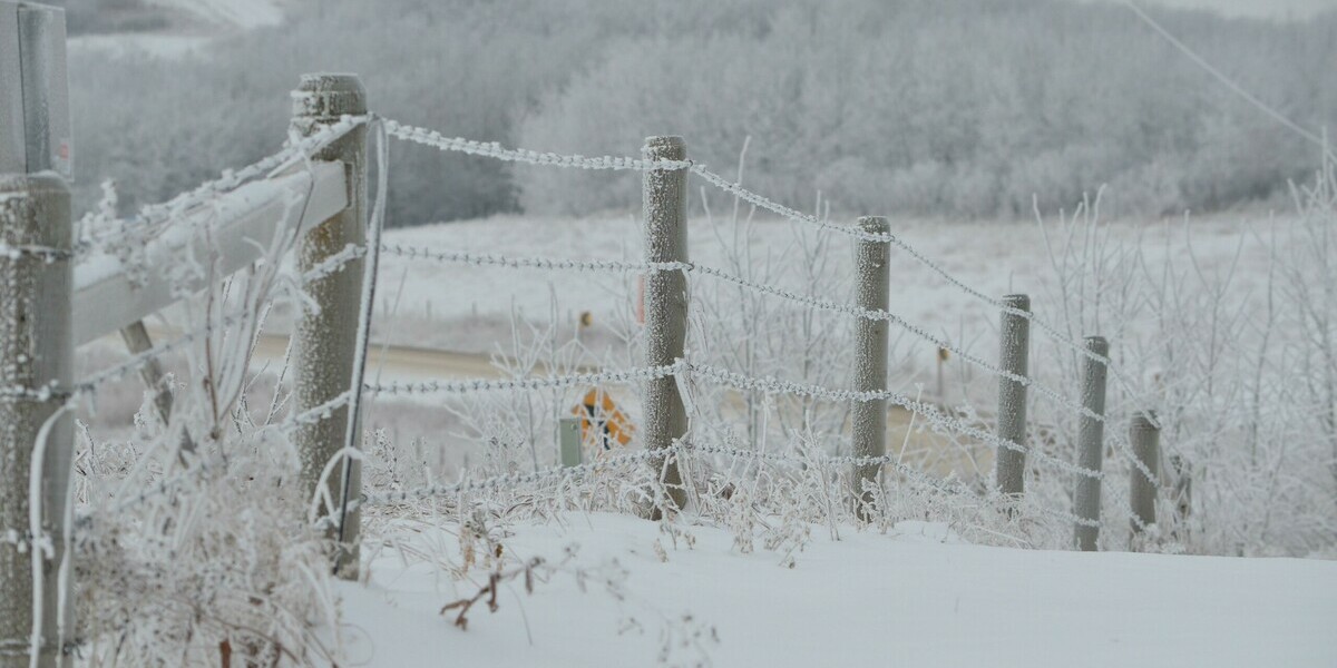 Snow covered fields with fence